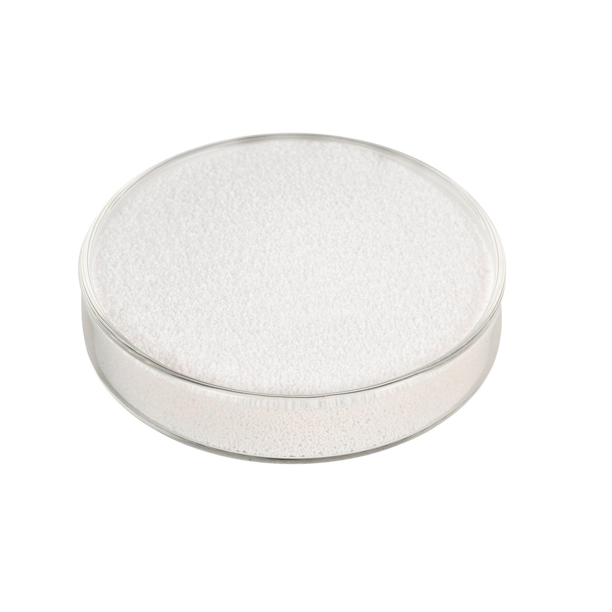 Oral Care Silica